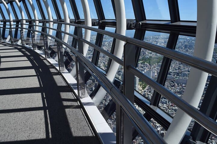 Asakusa to Skytree: Historical Walking Tour and Panoramic Views of Tokyo photo 4