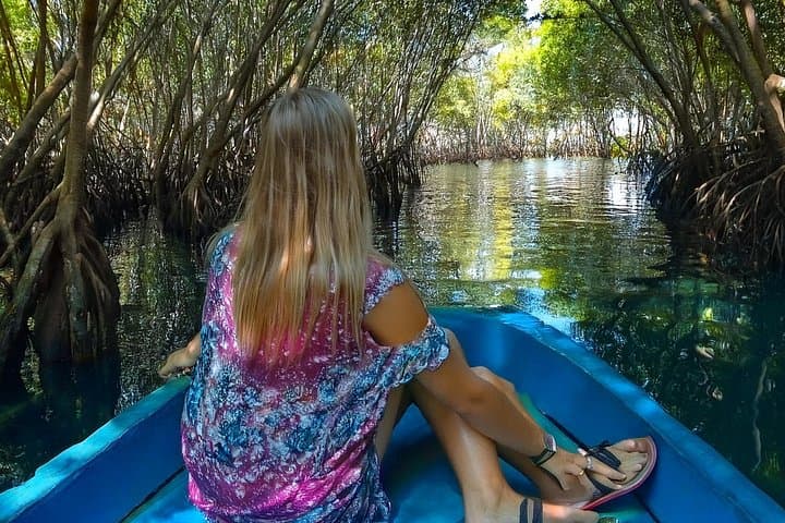 Private Galle Day Trip: Turtle Hatchery, Madu River Safari & Galle Fort photo 4