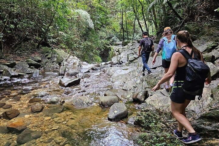 Bach Ma National Park Day Trip from Da Nang, Hoi An & Hue — Hai Vong Dai, Five Lakes & Do Quyen Waterfall photo 6