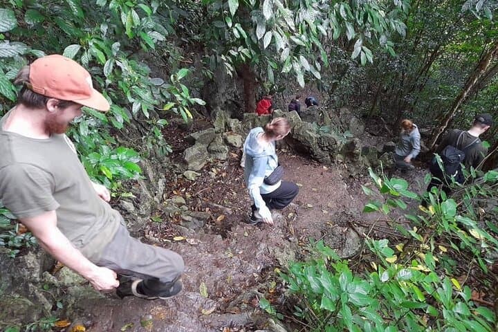 Cuc Phuong Scenic Jungle Trek: Day Tour from Ninh Binh photo 6
