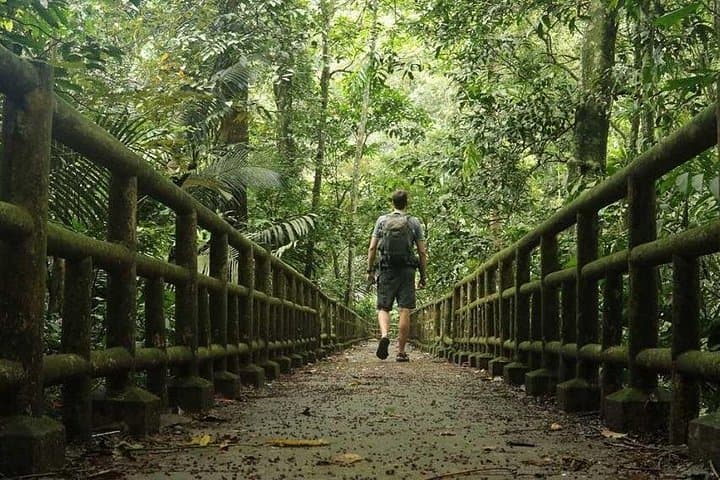 Day Trekking Cuc Phuong National Park from Ninh Binh — Primate Rescue, Ancient Trees & Karst Forests photo 2
