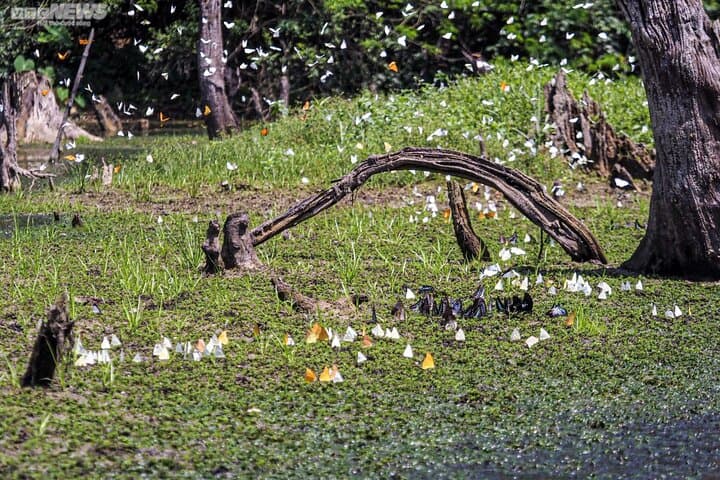 Explore Cuc Phuong National Park: One-Day Guided Trek from Ninh Binh photo 3