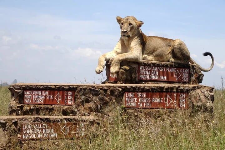 Explore Nairobi National Park and Wildlife Conservation Centers on a 1-Day Tour photo 4