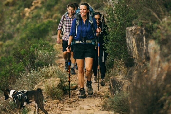 Table Mountain Guided Hike: Tailored Routes, Coffee & Fynbos Stories photo 4