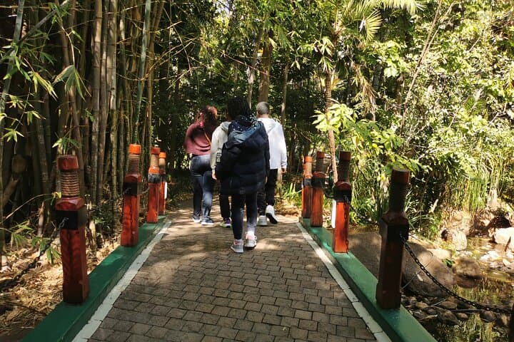 Sun City Day Tour from Johannesburg — Valley of Waves, Palace & Resort Highlights photo 4
