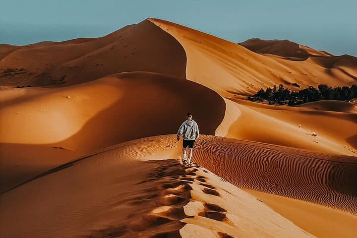 Quad Riding the Erg Chebbi Dunes: Merzouga Sahara ATV Experience photo 5