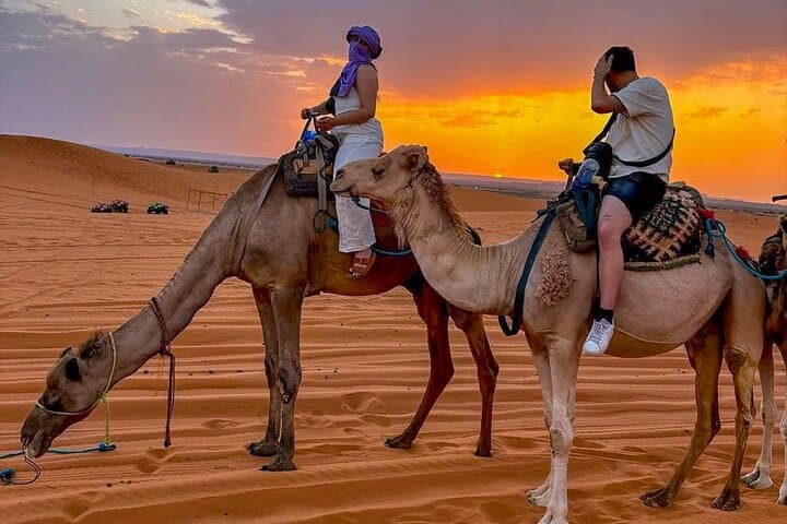 Overnight Camel Trekking in Merzouga: Luxury Camp Beneath Sahara Stars photo 4