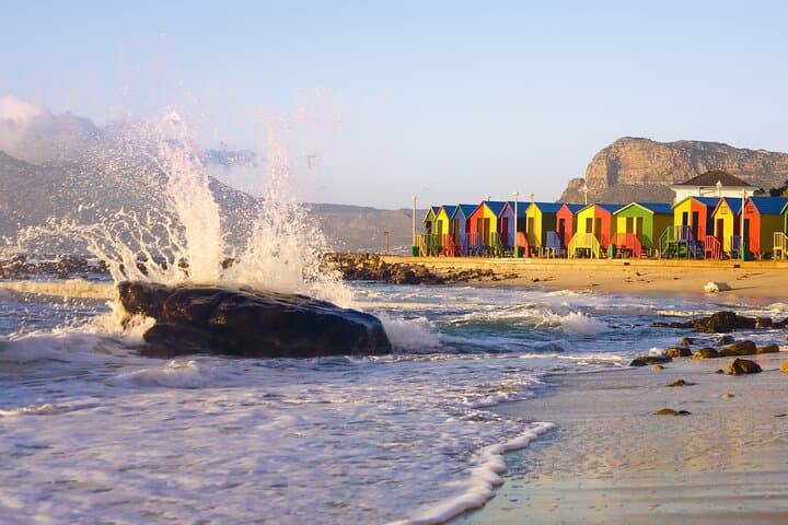 Half-Day Table Mountain, Boulders Beach Penguins & Chapman's Peak Drive photo 5
