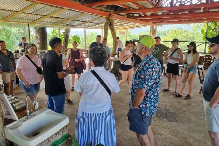 Blue Zone Coffee & Culture Tour in Nicoya — Bean-to-Cup Longevity Experience