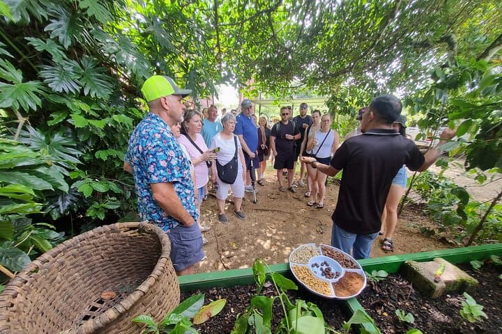 Blue Zone Coffee & Culture Tour in Nicoya — Bean-to-Cup Longevity Experience photo 3
