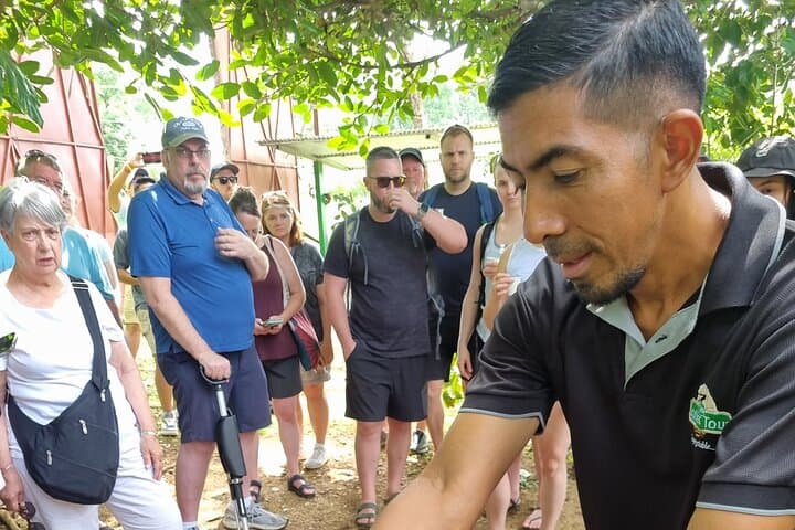 Blue Zone Coffee & Culture Tour in Nicoya — Bean-to-Cup Longevity Experience photo 4