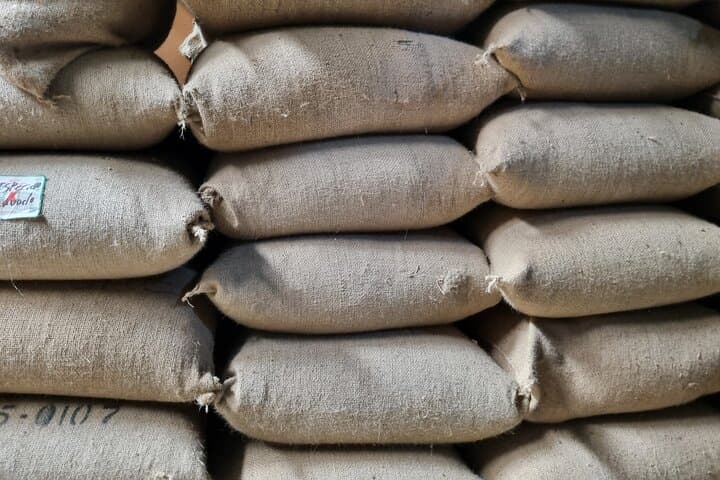 Blue Zone Coffee & Culture Tour in Nicoya — Bean-to-Cup Longevity Experience photo 5