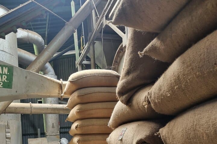 Blue Zone Coffee & Culture Tour in Nicoya — Bean-to-Cup Longevity Experience photo 6