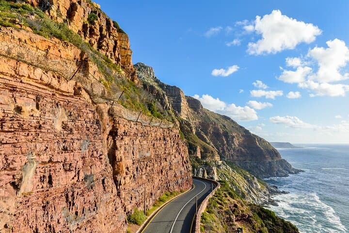 Half-Day Table Mountain, Boulders Beach Penguins & Chapman's Peak Drive photo 4