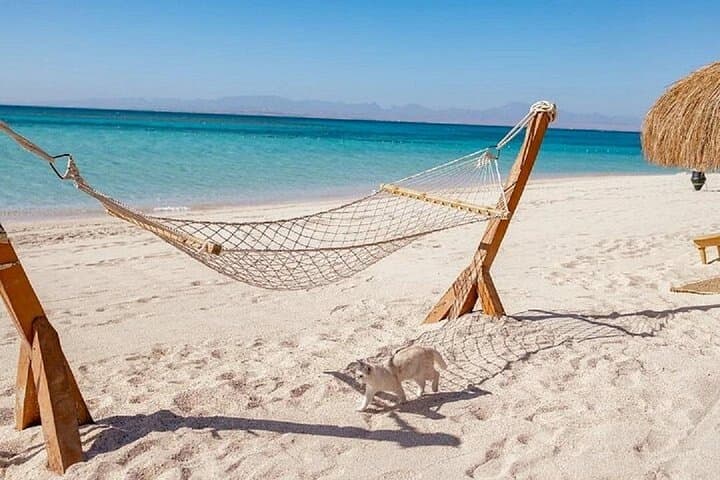 Parasailing and Boat Trip to Hula Hula Island, Hurghada - Red Sea Adventure photo 2