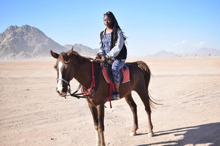 Marsa Alam Desert Horseback Ride — 2-Hour Arabian Horses with Transfer photo 6