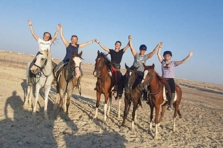 Marsa Alam Desert Horseback Ride — 2-Hour Arabian Horses with Transfer photo 3