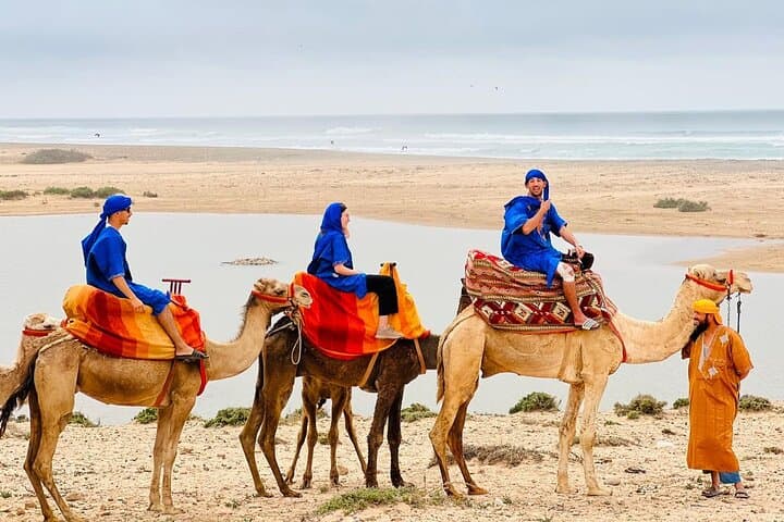 Camel Safari on Banana Beach: Tamri River Ride from Agadir