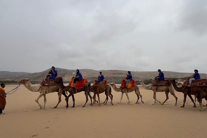 Camel Safari on Banana Beach: Tamri River Ride from Agadir photo 2