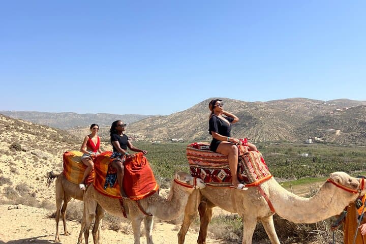 Camel Safari on Banana Beach: Tamri River Ride from Agadir photo 4