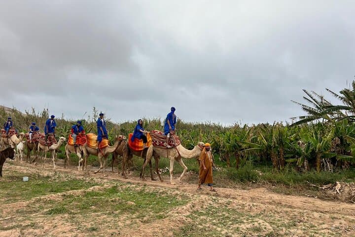Camel Safari on Banana Beach: Tamri River Ride from Agadir photo 6