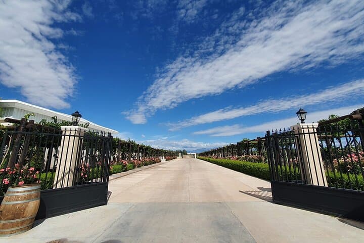 Luxury Mendoza Wine Escape: 2-Day Casa Agostino Resort Getaway photo 3
