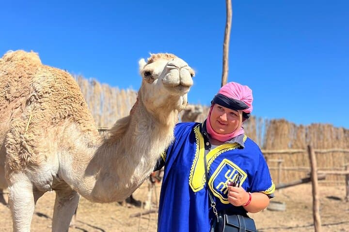 Sunset Camel Ride & Beach Barbecue at Tamri — Camel Trek Through Banana Fields to the Atlantic photo 5