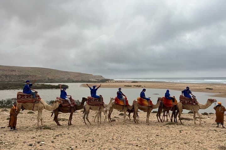 Agadir Camel Ride: 2-Hour Tamri Beach & Souss River Safari photo 4
