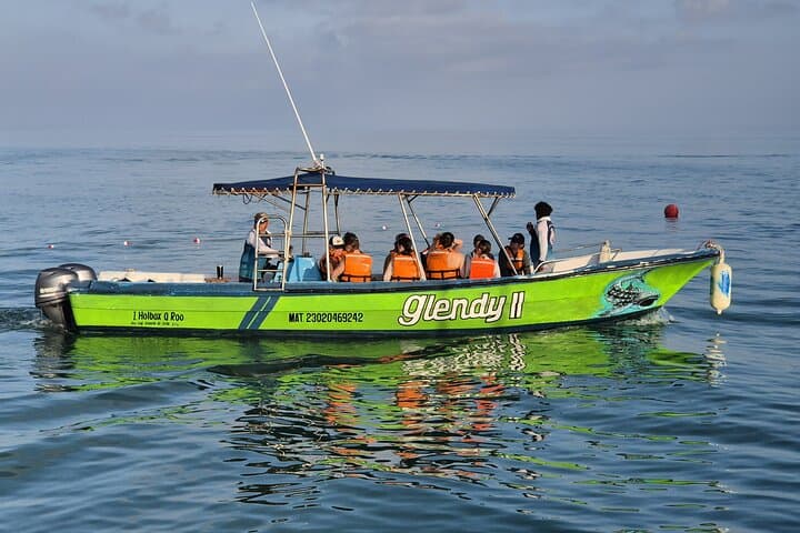 Swim with Whale Sharks off Holbox Island: A Day with the Ocean's Gentle Giants photo 4