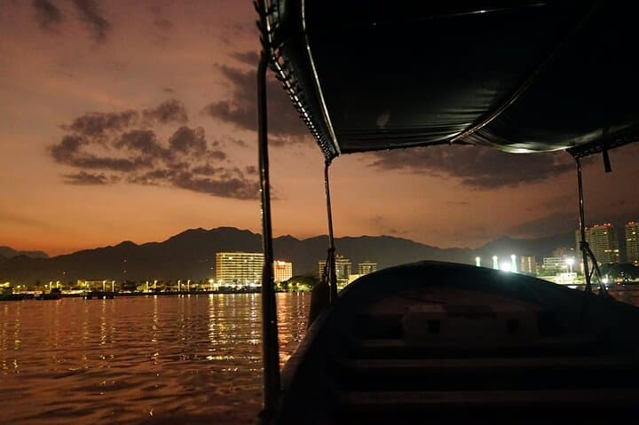 Private Sunset Whale-Watching & Seawall Cruise in Puerto Vallarta Bay photo 2