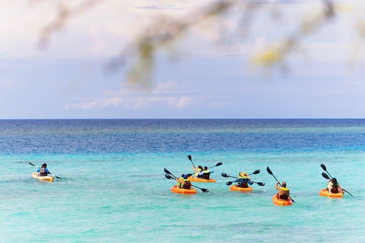 Aruba Kayak Explorers: Mangel Halto Barrier Reef Kayak & Snorkel Tour photo 3