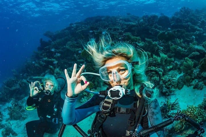 Scuba Diving Catalina Island from Punta Cana — Day Dives and Private Beach Lunch photo 2