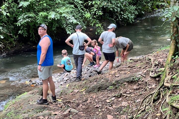 Sloth Discovery Tour La Fortuna: Guided Wildlife Walk with Naturalist photo 5