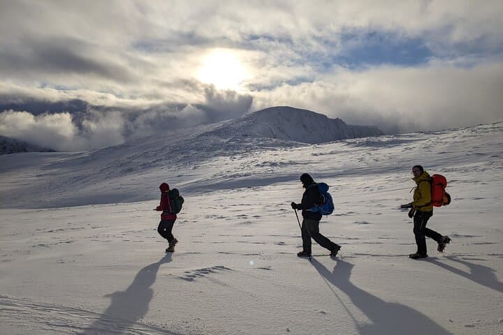 Winter Hiking in the Cairngorms: Guided Snow Walks from Aviemore photo 6