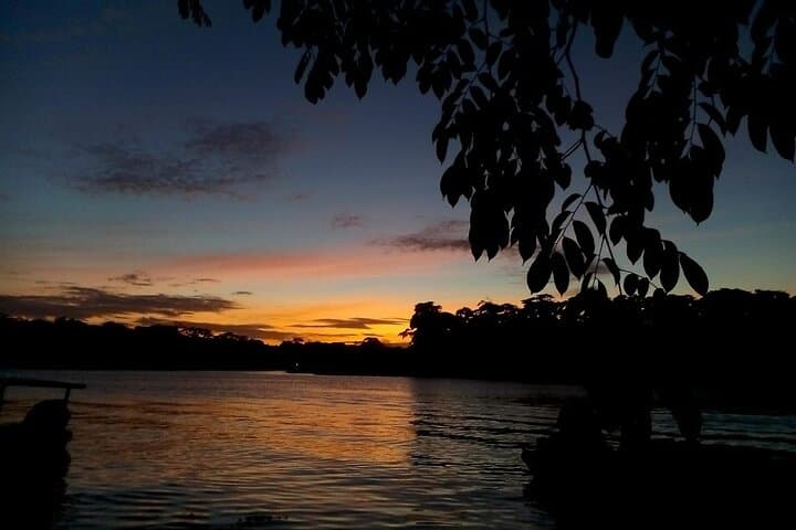 Tortuguero 2-Hour Night Wildlife Walk: Guided Nocturnal Rainforest Tour photo 4