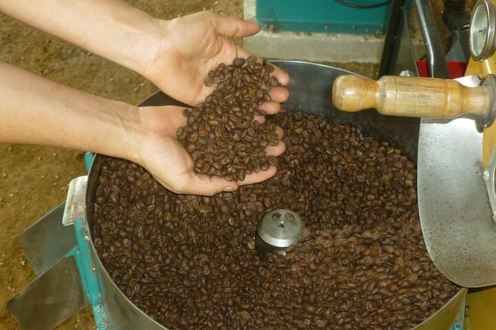 Taste Arenal: La Fortuna Coffee, Chocolate & Sugar Cane Farm Experience photo 5