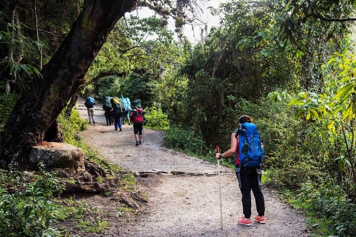 4-Day Inca Trail Trek to Machu Picchu: Dead Woman's Pass & Sun Gate photo 3