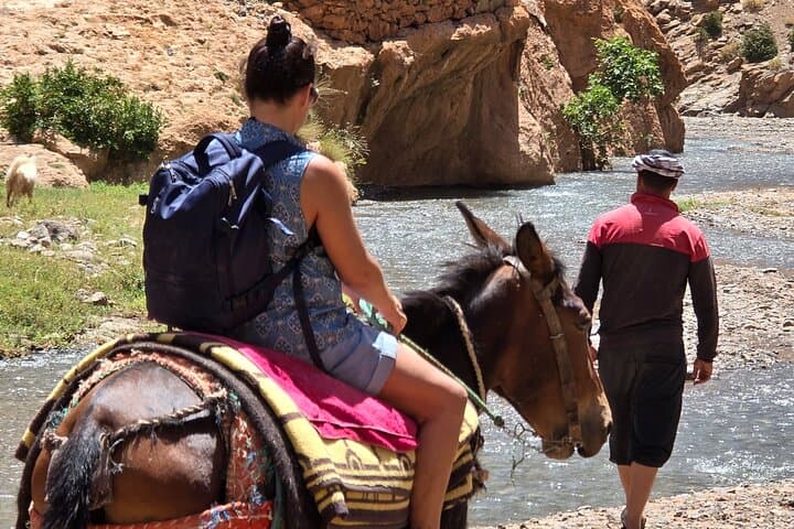 Trek with Mules or Donkeys in Dades Gorge and Roses Valley photo 2