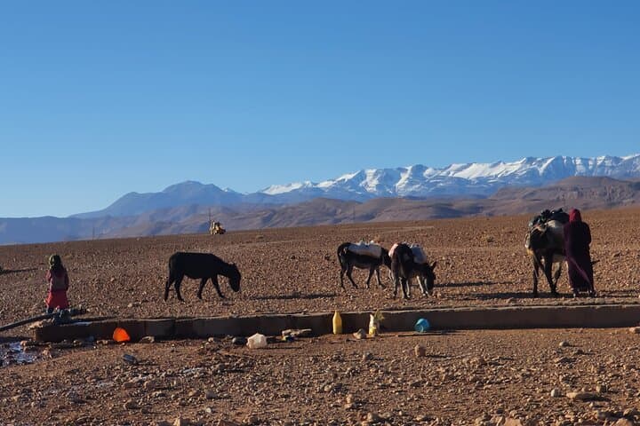 Overnight Hike with Dades Valley Nomads: 14 km Trek & Cave Camp Experience photo 4