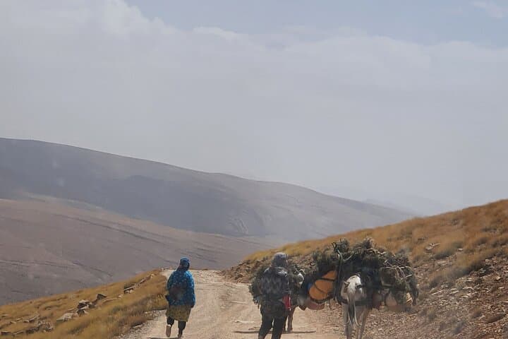 Imilchil Lakes Camping Adventure from Ouarzazate via Dades & Toudra Gorges photo 2