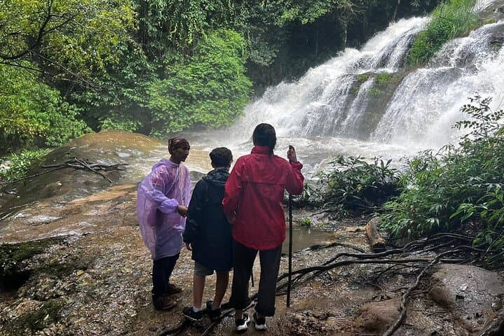 Doi Inthanon Private Day Tour: Twin Pagodas, Cloud Forest Boardwalk & Waterfall Hikes photo 2