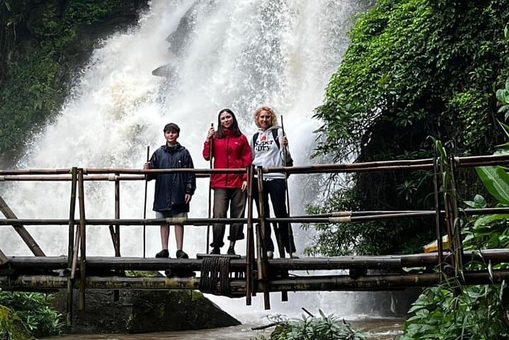 Doi Inthanon Private Day Tour: Twin Pagodas, Cloud Forest Boardwalk & Waterfall Hikes photo 3