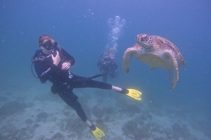 Dive and Stay Fujairah: 5-Dive Overnight Trip from Dubai with BBQ & Transfers