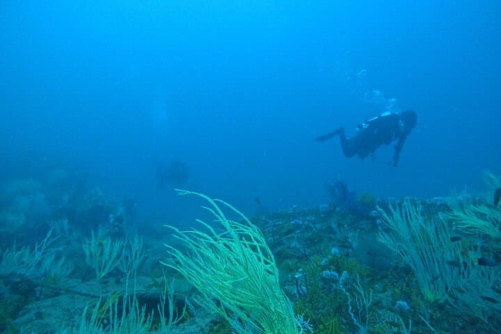 Dive and Stay Fujairah: 5-Dive Overnight Trip from Dubai with BBQ & Transfers photo 2