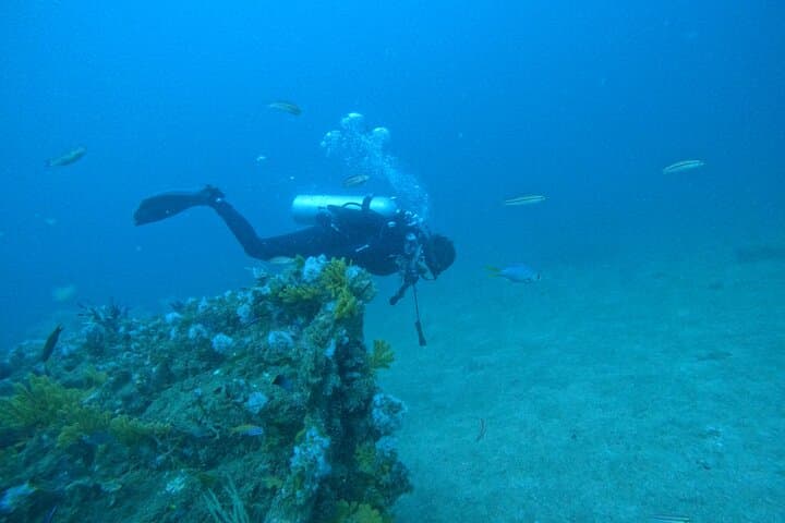 Dive and Stay Fujairah: 5-Dive Overnight Trip from Dubai with BBQ & Transfers photo 3