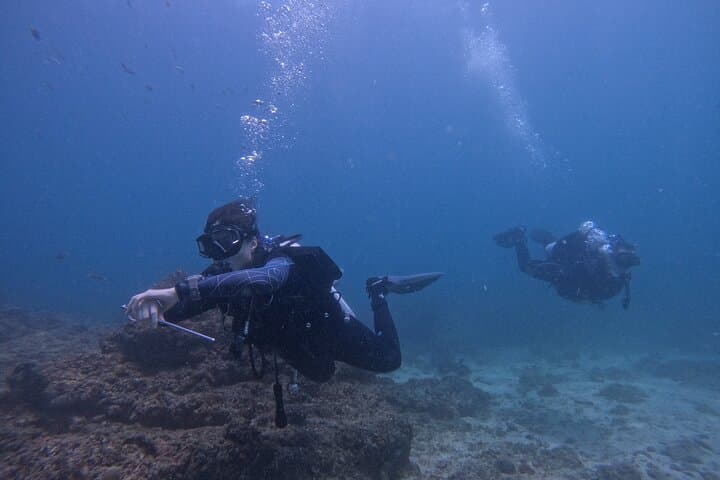Dive and Stay Fujairah: 5-Dive Overnight Trip from Dubai with BBQ & Transfers photo 4