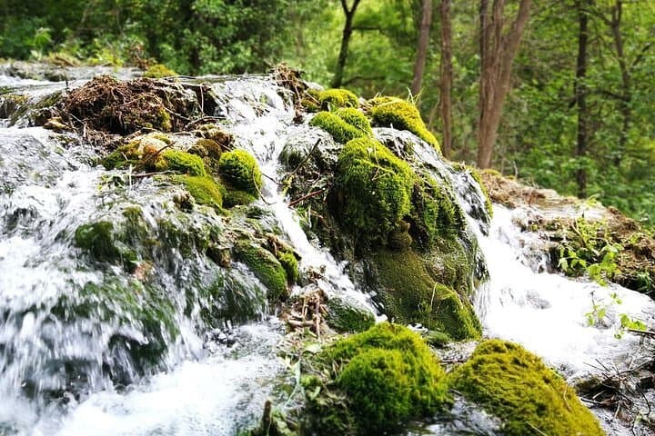 Krka Waterfalls and Wine Tasting — Small-Group Day Tour from Split photo 4