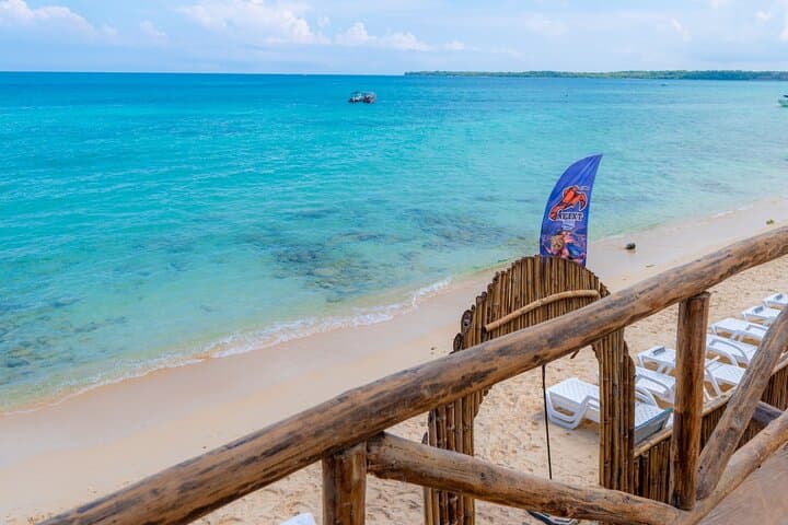Playa Blanca & Barú Snorkeling: Day Trip from Cartagena to Mangroves and White Sand photo 6