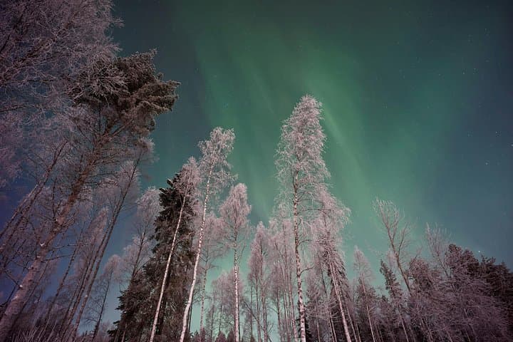 Rovaniemi Northern Lights Campfire Tour at Olkkajärvi & Norvajärvi