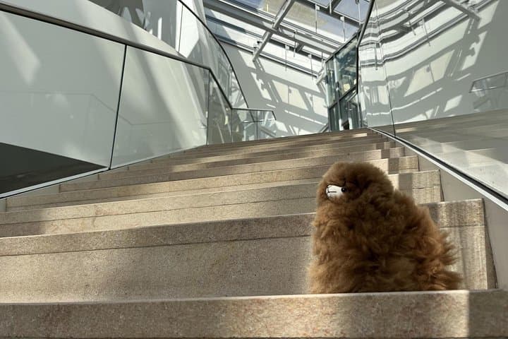 Inside Fondation Louis Vuitton: Private Guided Tour of Gehry's Masterpiece photo 6